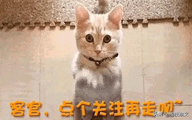 一场晚宴暴露刘亦菲真实身材,看清腋窝那刻,内娱畸形审美该停了(组图) - 9