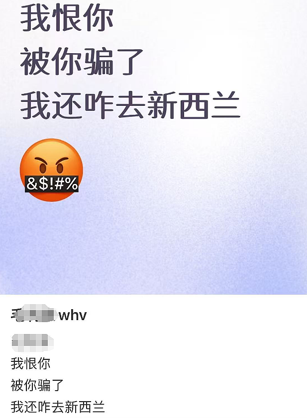 新西兰移民局网站崩了！大量中国申请人不满，集体写信举报（图） - 14