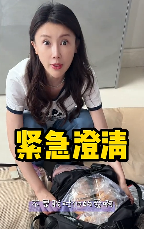 甘薇送孩子赴美探望贾跃亭，此前官宣离婚，否认资产转移，没拿40亿！彼此无商业关联（组图） - 4