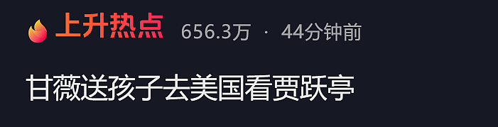 甘薇送孩子赴美探望贾跃亭，此前官宣离婚，否认资产转移，没拿40亿！彼此无商业关联（组图） - 1