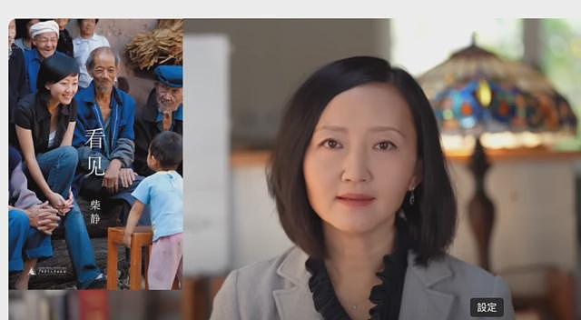 柴静： 从中国官媒的知名记者和“公知”到出走海外的独立媒体人（组图） - 3