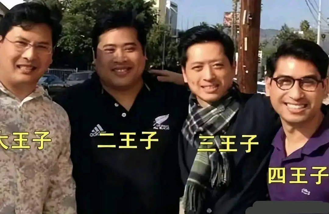 泰国王室提帮功小王子躺赢的王储路：废妃之子逆袭，野心兄弟遭逐（组图） - 9