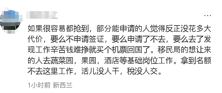 新西兰移民局网站崩了！大量中国申请人不满，集体写信举报（图） - 21