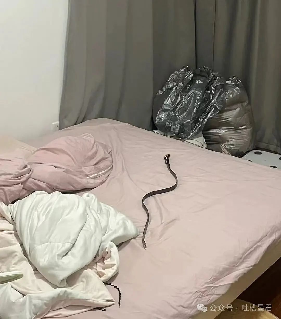 【爆笑】老板夸我的眼睛好好看该怎么回!?网友崩溃:啊啊啊还不如被骚扰了…(组图) - 48