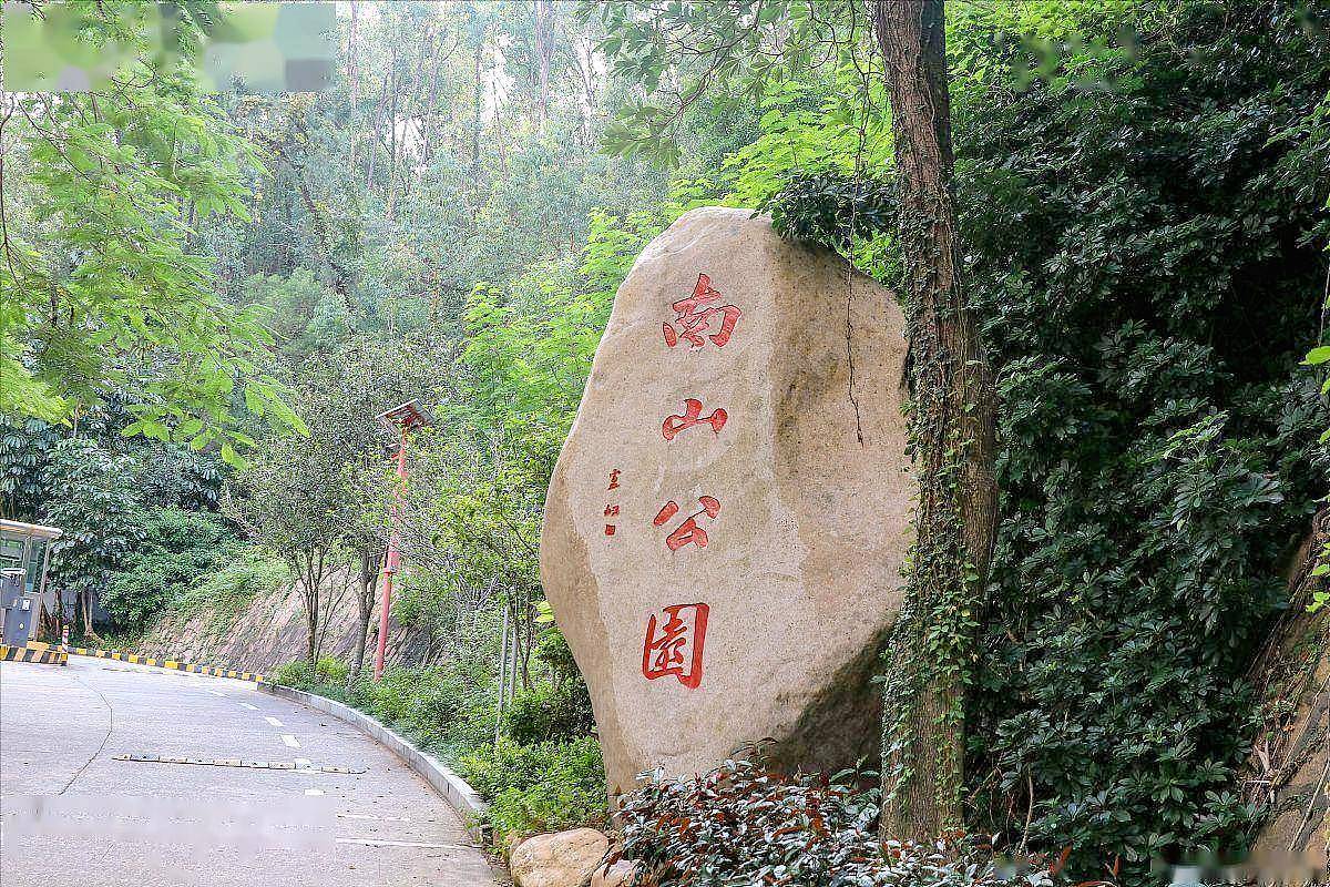 秦怡:新婚第3天就遭丈夫陈天国家暴,在防空洞里生女儿差点死去(组图) - 6