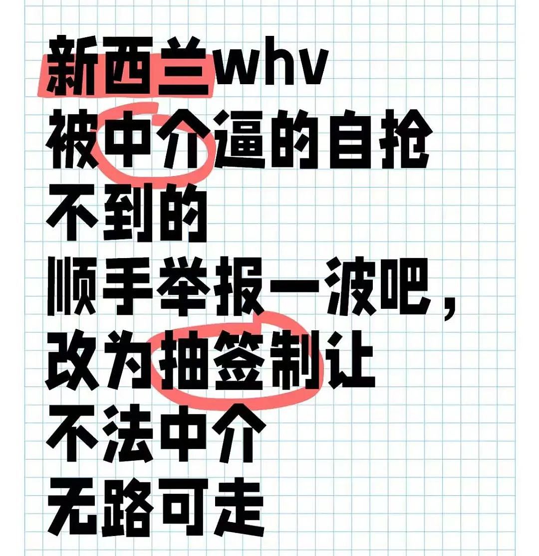 新西兰移民局网站崩了！大量中国申请人不满，集体写信举报（图） - 15