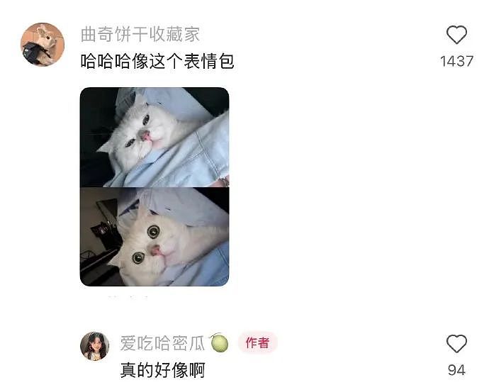 【爆笑】因为给男朋友妹妹买了件裙子，他要和我分手？网友无语：他早蓄谋已久了（组图） - 37
