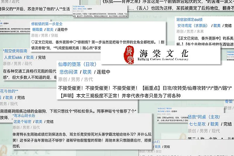 跨省抓捕海棠作者案:一次没有真正受害者的犯罪(组图) - 3