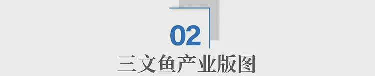 从挪威到青海：中国如何让三文鱼走下神坛？（组图） - 4