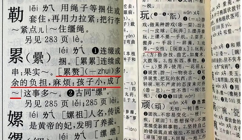 中国新华字典例句“小孩成累赘”遭轰！出版社：仅表达社会现象（组图） - 1