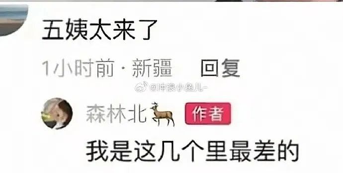 森林北自嘲是汪峰历代女友中最差的！网友：不会的，自信点（组图） - 10
