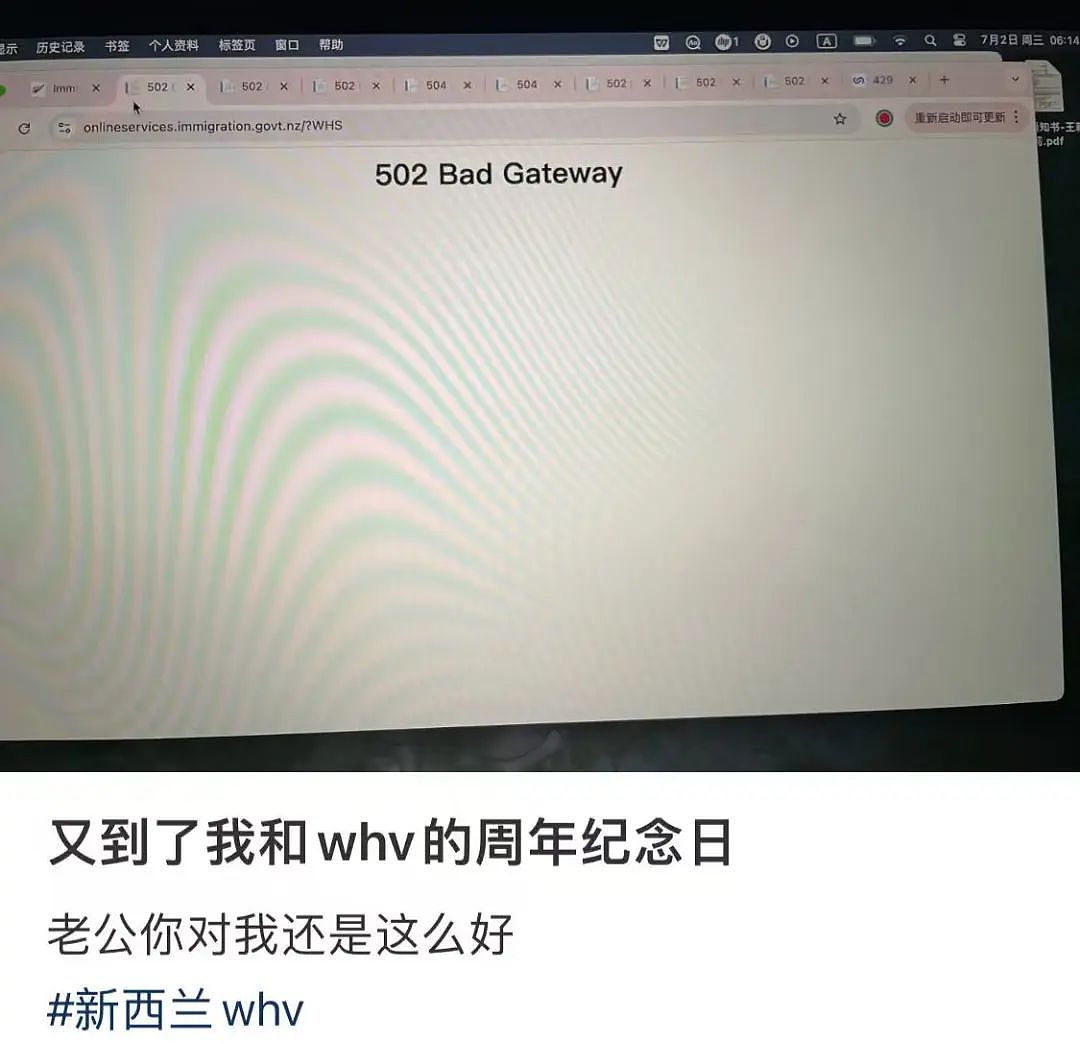 新西兰移民局网站崩了！大量中国申请人不满，集体写信举报（图） - 5
