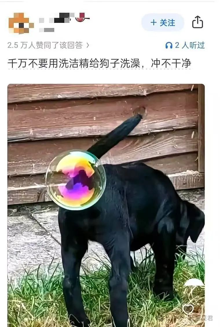 【爆笑】老板夸我的眼睛好好看该怎么回!?网友崩溃:啊啊啊还不如被骚扰了…(组图) - 34