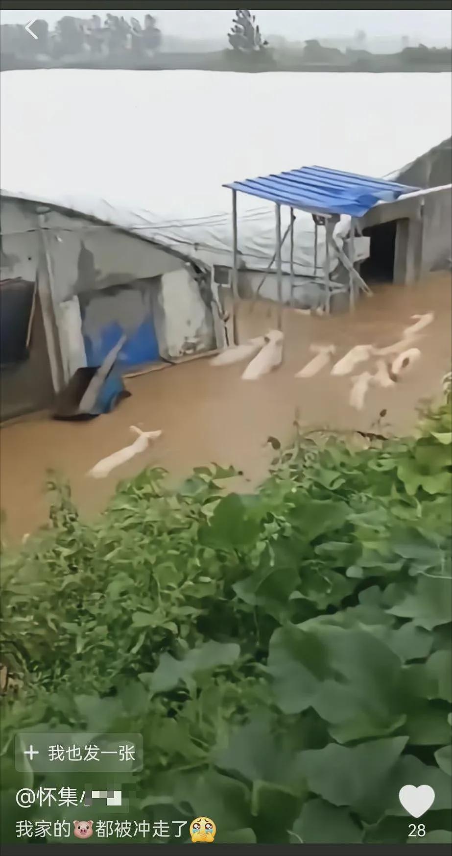 榕江特大暴雨里，最考验人性的一幕出现了（组图） - 22