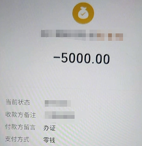漂亮女大学生被包装成孕妈卖娃,16万能定制孩子出身家境真就能生在罗马(组图) - 11