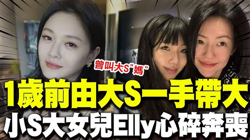 小S二女儿陷入抄袭争议，本人承认有参考，遭艺术圈公开抨击（组图） - 12