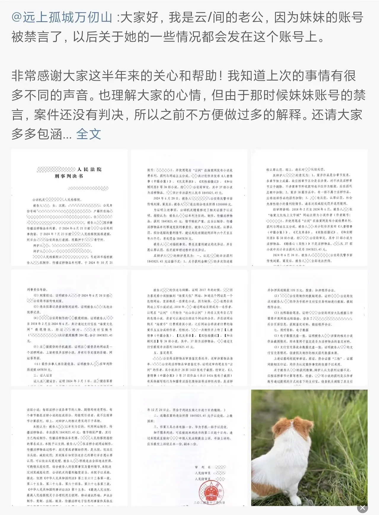 跨省抓捕海棠作者案:一次没有真正受害者的犯罪(组图) - 4