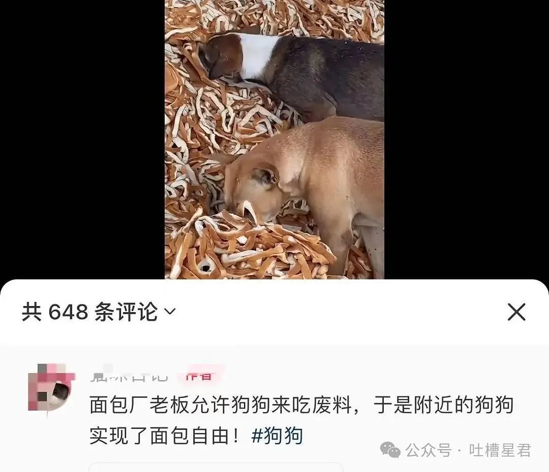 【爆笑】老板夸我的眼睛好好看该怎么回!?网友崩溃:啊啊啊还不如被骚扰了…(组图) - 29
