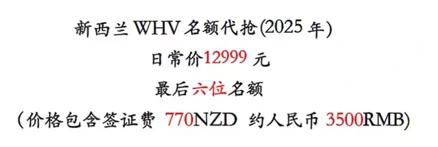 新西兰移民局网站崩了！大量中国申请人不满，集体写信举报（图） - 9