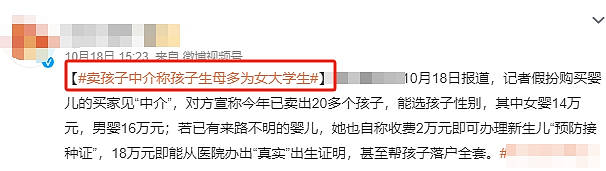 漂亮女大学生被包装成孕妈卖娃,16万能定制孩子出身家境真就能生在罗马(组图) - 13