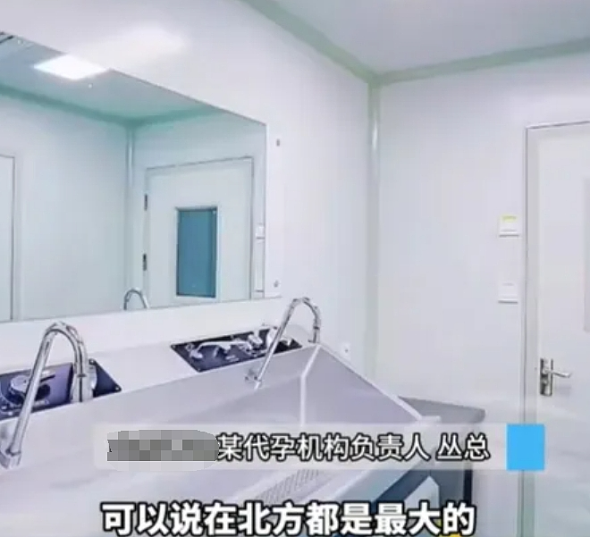 漂亮女大学生被包装成孕妈卖娃,16万能定制孩子出身家境真就能生在罗马(组图) - 14