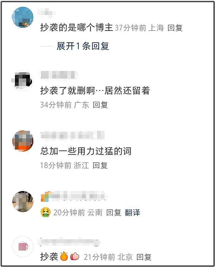麦琳抄袭风波升级！道歉但不删视频，被抄袭博主是孕妇留言求放过（组图） - 4