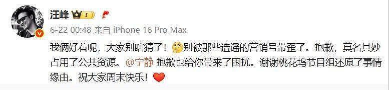 宁静回应绯闻,意外曝汪峰与森林北关系,章子怡无辜躺枪(组图) - 11