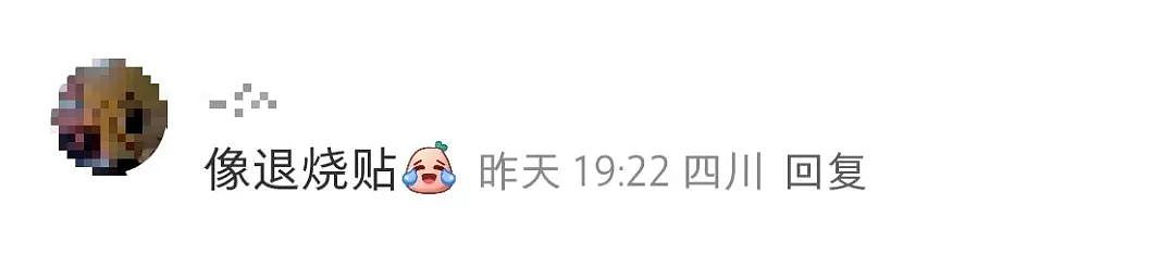 宜家新出的“枕头冰淇淋“翻车？造型被吐槽撞脸“卫生巾”！网友：越看越眼熟（组图） - 20