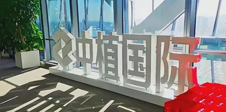 比恒大还多1.14万亿！3.6万亿金融帝国崩塌，15万投资者血本无归（组图） - 6
