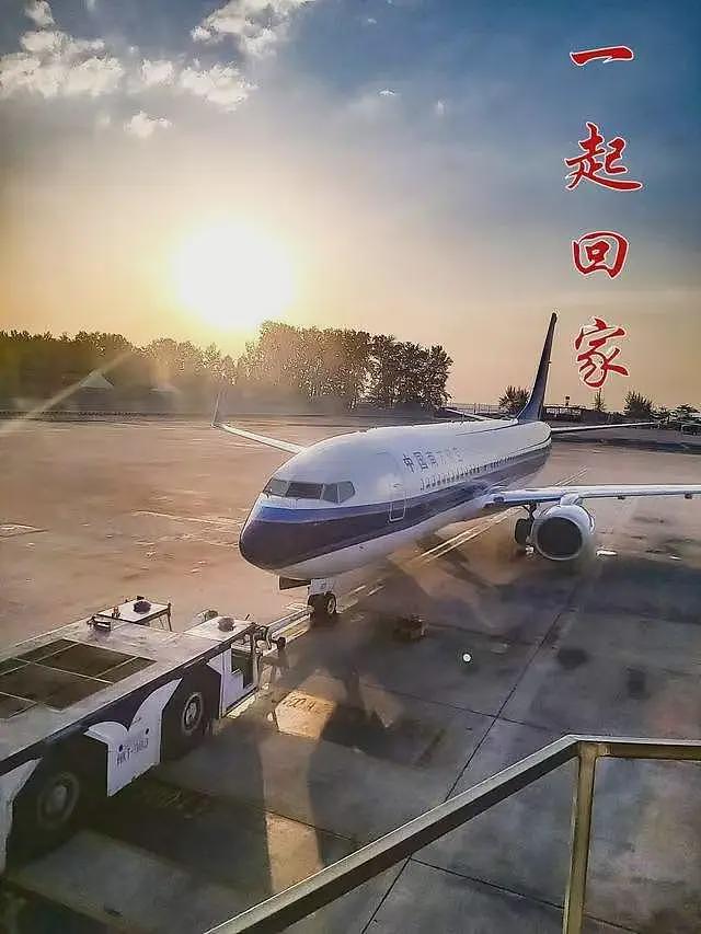 曝南航机长刀捅领导后跳楼身亡,年仅32岁长得帅气,原因疑曝光(组图) - 3