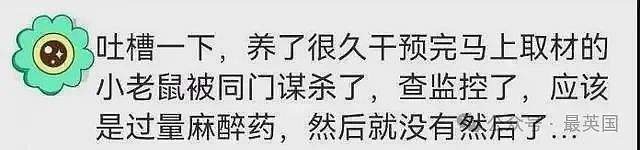 震惊！他因嫉妒向同门女博士培养基投毒，实验室全军覆没，同门惨遭延毕 …（组图） - 10
