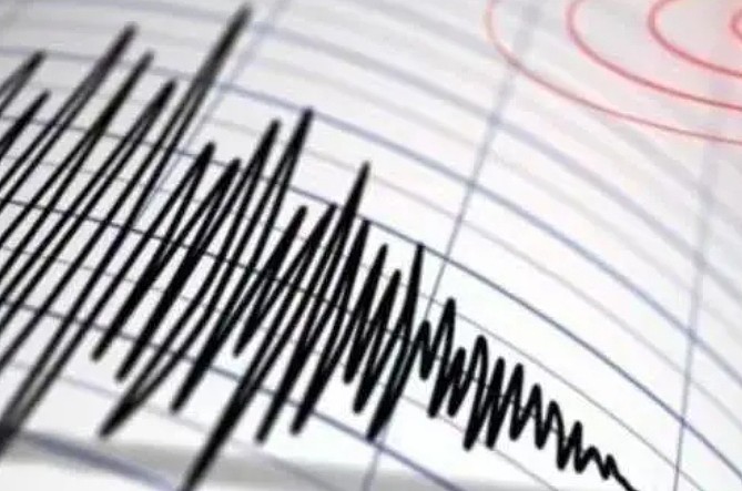 日本鹿儿岛海域发生5.5地震,此前已有超800次地震(组图) - 1