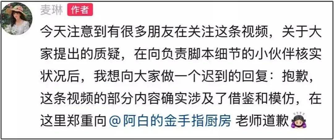 麦琳抄袭风波升级！道歉但不删视频，被抄袭博主是孕妇留言求放过（组图） - 17