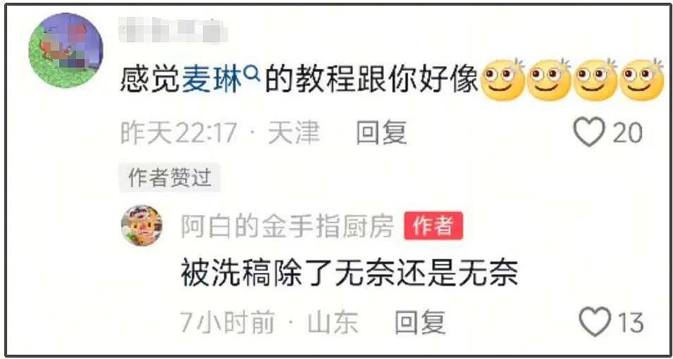 麦琳抄袭风波升级！道歉但不删视频，被抄袭博主是孕妇留言求放过（组图） - 18
