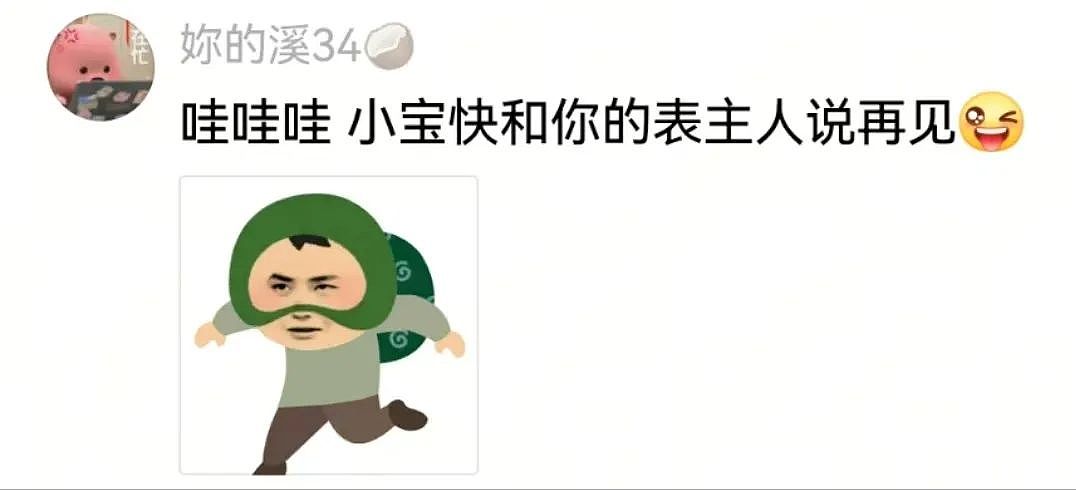 【宠物】狗子第一次坐主人车子小心翼翼，连脚都不敢放下，狗子：麻麻乖宝不累，乖宝只是心疼麻麻的新车...（组图） - 13