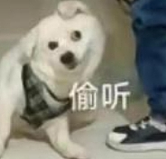 【爆笑】怎么会有人租这种房子只想着备孕啊？理由是：从白天到黑夜，任何角落都安全...（组图） - 15