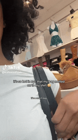 “我的名牌包也晒融了”！美国妹子崩溃喊话，评论区却集体在cue巴黎世家…（组图） - 1