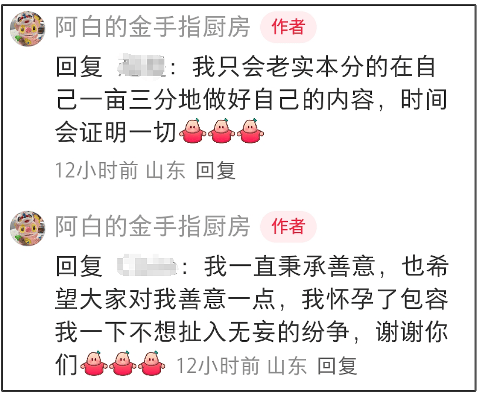 麦琳抄袭风波升级！道歉但不删视频，被抄袭博主是孕妇留言求放过（组图） - 21