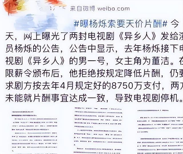 索要天价片酬，不顾央视警告顶风作案的杨烁，如今糊成路人太解气（组图） - 4