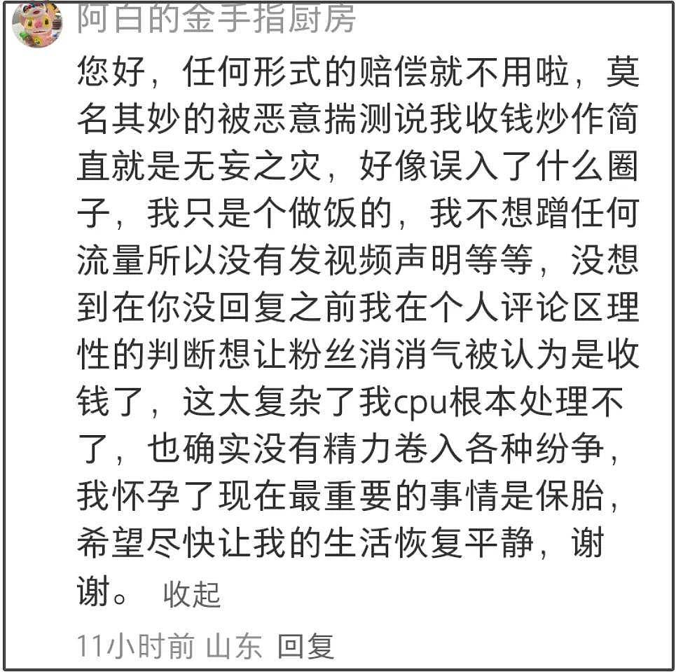 麦琳抄袭风波升级！道歉但不删视频，被抄袭博主是孕妇留言求放过（组图） - 19