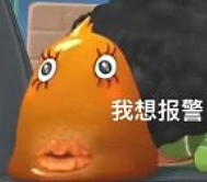 【爆笑】怎么会有人租这种房子只想着备孕啊？理由是：从白天到黑夜，任何角落都安全...（组图） - 22