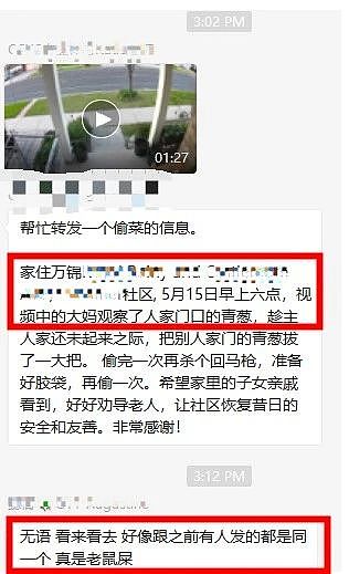 开玛莎拉蒂偷南瓜?这些“偷菜大军”简直刷新下限!邻居崩溃:大爷大妈能不能要点脸(组图) - 11