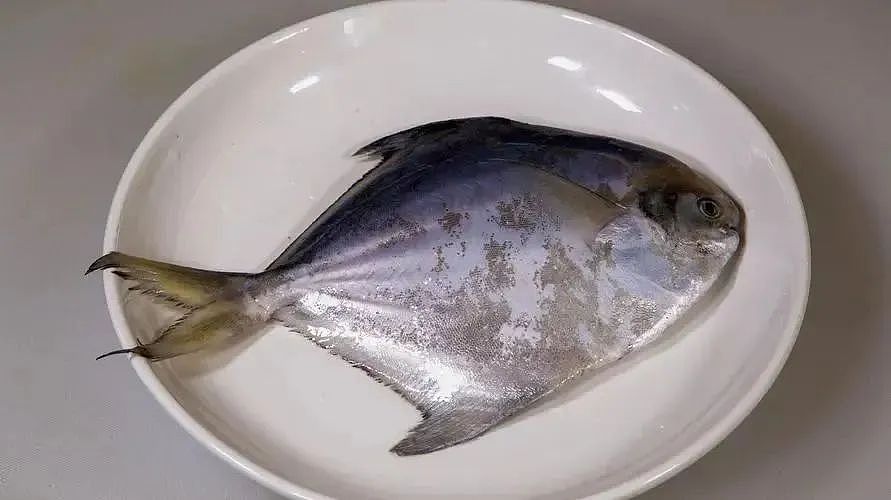 浙江男子从受伤到离世仅9天！起初伤口才米粒大，医生：进展比台风还快（组图） - 5