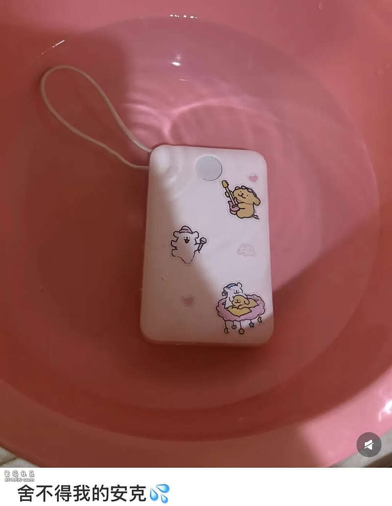充电宝的事情,正朝着越来越奇怪的方向发展(组图) - 23