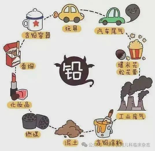 甘肃幼儿园血铅事件：什么是血铅？什么原因产生？（组图） - 8
