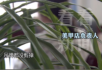 “白吃白喝两个月”！上海00后美女酒店“白嫖”事件，真的三观震碎……（组图） - 5