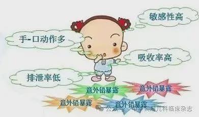 甘肃幼儿园血铅事件：什么是血铅？什么原因产生？（组图） - 11
