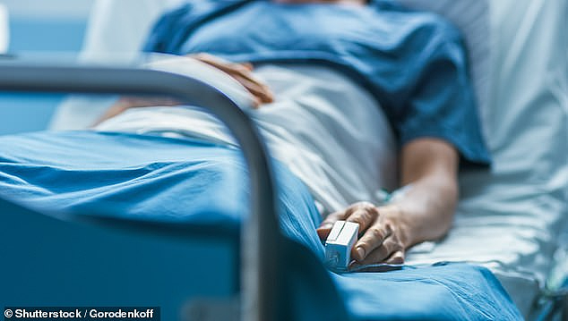 警惕！澳洲时隔多年再次出现这种传染病例！一男子死亡！无特效药！（组图） - 3