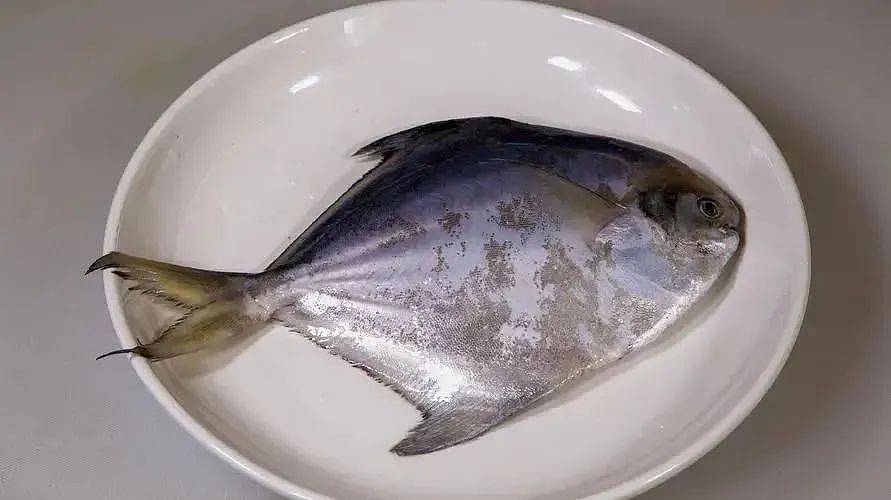 男子从受伤到离世仅9天！起初伤口才米粒大，医生：进展比台风还快（组图） - 5