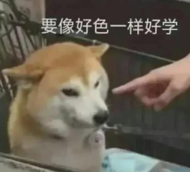 被嘲硬蹭LV红毯，王楚钦何苦强闯时尚圈？（组图） - 31